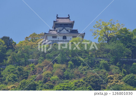 錦川　横山河川敷運動広場から見る岩国城 126801030