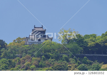 錦川 横山河川敷運動広場から見る岩国城 錦川 横山河川敷運動広場から見る岩国城 126801032