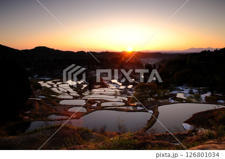 峠の棚田2025 126801034