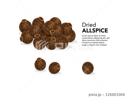 Dried allspice seeds on a white background 126801068