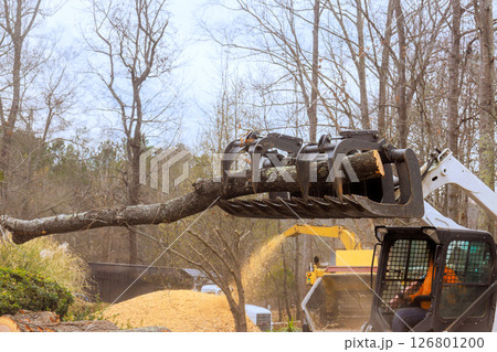 Skid steer loader uses grapple attachment to lift large tree branch for clearing at forested location. 126801200