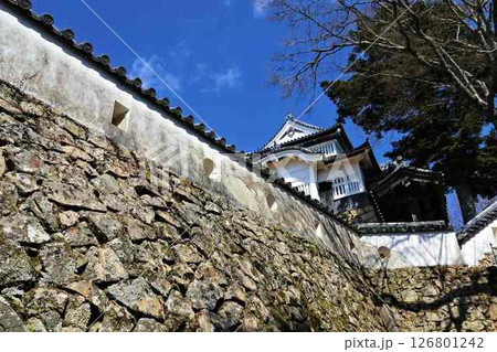 備中松山城本丸天守 備中松山城本丸天守 126801242