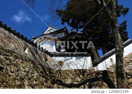 備中松山城本丸天守 備中松山城本丸天守 126801244