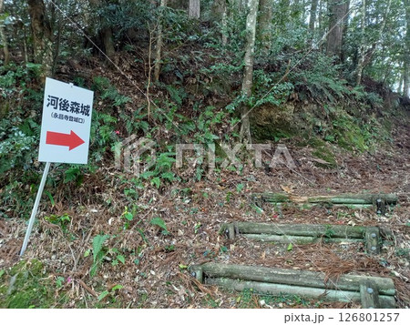 河後森城 永昌寺登城口 河後森城 永昌寺登城口 126801257