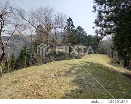 河後森城 東第三曲輪から東第四曲輪 河後森城 東第三曲輪から東第四曲輪 126801260