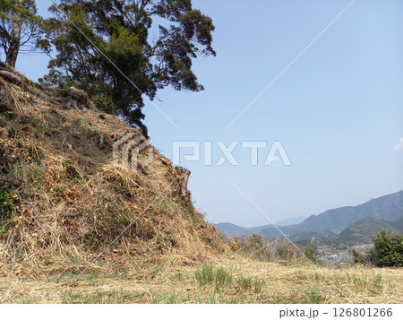 河後森城 本郭の土塁 河後森城 本郭の土塁 126801266