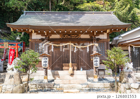 神戸市東灘区住吉山手 若宮八幡宮 拝殿(神功皇后の皇子を祀る)六甲山南麓赤塚山の裾 神戸市東灘区住吉山手 若宮八幡宮 拝殿(神功皇后の皇子を祀る)六甲山南麓赤塚山の裾 126801553