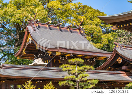 弓弦羽神社　本殿（ヤタノカラスが願い事を導く）熊野大神を祀る勝利の神　神戸市東灘区御影郡家 126801581