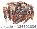ほたるいか素干し　白背景 126801836
