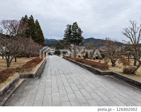 荘園 126802002