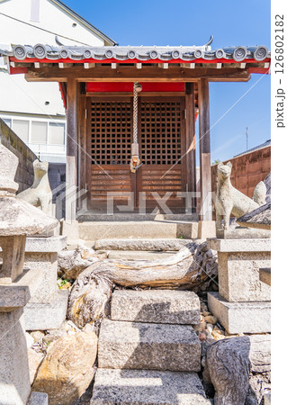 御影厳島神社 境内社 稲荷神社 神戸市東灘区御影 御影厳島神社 境内社 稲荷神社 神戸市東灘区御影 126802182