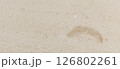 Photo of beige natural marble with abstract pattern, fossils. 126802261