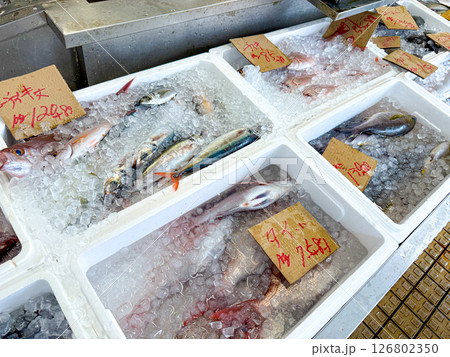 魚屋で売っている夏の魚いろいろ 126802350