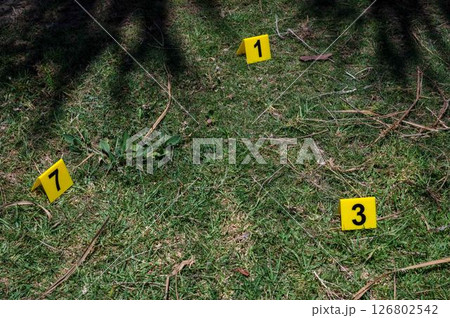 Three yellow crime scene markers on green grass. High quality photo 126802542