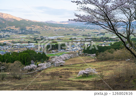 阿蘇山を背景にパノラマ風景 「観音桜公園芝生広場(展望所)から観える絶景」(阿蘇郡南阿蘇村) 阿蘇山を背景にパノラマ風景 「観音桜公園芝生広場(展望所)から観える絶景」(阿蘇郡南阿蘇村) 126802616