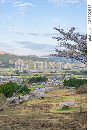 阿蘇山を背景にパノラマ風景 「観音桜公園芝生広場(展望所)から観える絶景」(阿蘇郡南阿蘇村) 阿蘇山を背景にパノラマ風景 「観音桜公園芝生広場(展望所)から観える絶景」(阿蘇郡南阿蘇村) 126802617