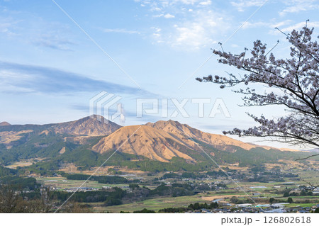 阿蘇山を背景にパノラマ風景　「観音桜公園芝生広場（展望所）から観える絶景」(阿蘇郡南阿蘇村) 126802618