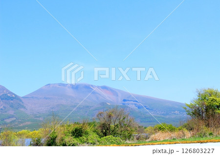 5月の浅間山と高原野菜畑　　　信州の山々　　　信州の風景 126803227