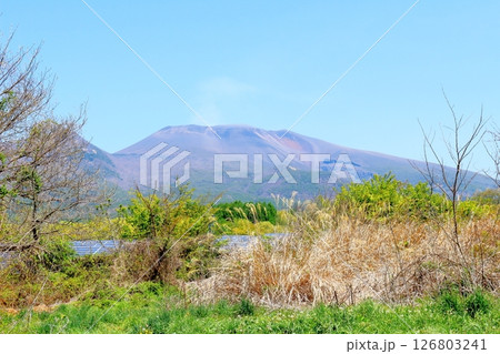 5月の浅間山と高原野菜畑　　　信州の山々　　　信州の風景 126803241