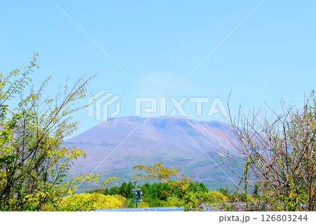 5月の浅間山と高原野菜畑 信州の山々 信州の風景 5月の浅間山と高原野菜畑 信州の山々 信州の風景 126803244