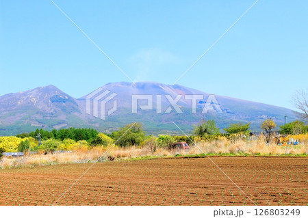 5月の浅間山と高原野菜畑 信州の山々 信州の風景 5月の浅間山と高原野菜畑 信州の山々 信州の風景 126803249