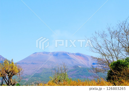 5月の浅間山と高原野菜畑 信州の山々 信州の風景 5月の浅間山と高原野菜畑 信州の山々 信州の風景 126803265