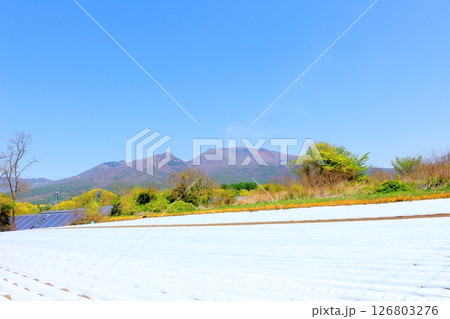 5月の浅間山と高原野菜畑 信州の山々 信州の風景 5月の浅間山と高原野菜畑 信州の山々 信州の風景 126803276
