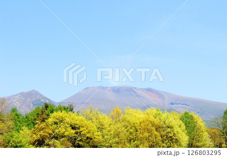 5月の浅間山と高原野菜畑　　　信州の山々　　　信州の風景 126803295