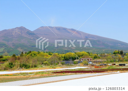 5月の浅間山と高原野菜畑　　　信州の山々　　　信州の風景 126803314