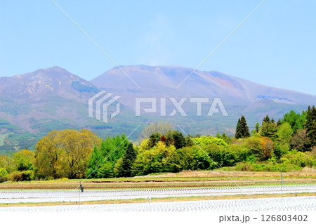 5月の浅間山と高原野菜畑　　　信州の山々　　　信州の風景 126803402