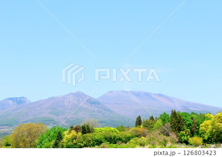 5月の浅間山と高原野菜畑　　　信州の山々　　　信州の風景 126803423