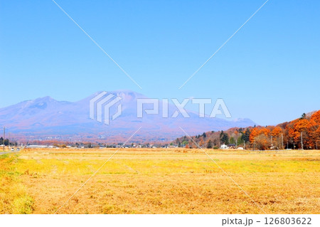 11月の紅葉の浅間山　　　信州の山々　　　信州の風景 126803622
