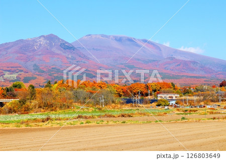 11月の紅葉の浅間山　　　信州の山々　　　信州の風景 126803649