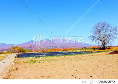 11月の紅葉の浅間山　　　信州の山々　　　信州の風景 126803672
