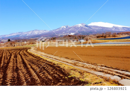 3月の冠雪の浅間山 信州の山々 信州の風景 3月の冠雪の浅間山 信州の山々 信州の風景 126803921