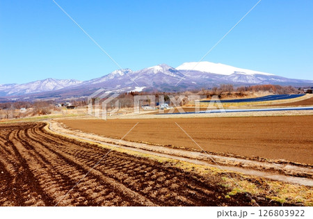 3月の冠雪の浅間山 信州の山々 信州の風景 3月の冠雪の浅間山 信州の山々 信州の風景 126803922