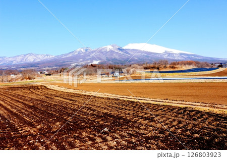 3月の冠雪の浅間山 信州の山々 信州の風景 3月の冠雪の浅間山 信州の山々 信州の風景 126803923
