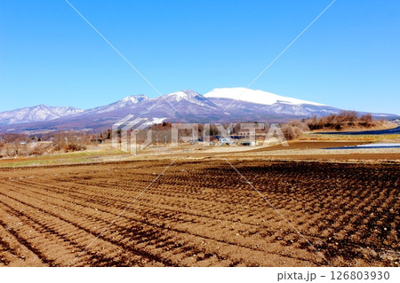 3月の冠雪の浅間山　　　信州の山々　　　信州の風景 126803930
