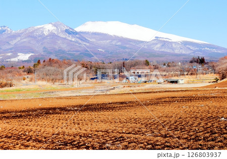3月の冠雪の浅間山 信州の山々 信州の風景 3月の冠雪の浅間山 信州の山々 信州の風景 126803937