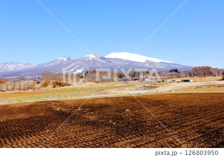 3月の冠雪の浅間山 信州の山々 信州の風景 3月の冠雪の浅間山 信州の山々 信州の風景 126803950