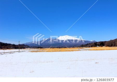 3月の冠雪の浅間山　　　信州の山々　　　信州の風景 126803977