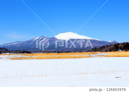 3月の冠雪の浅間山 信州の山々 信州の風景 3月の冠雪の浅間山 信州の山々 信州の風景 126803978