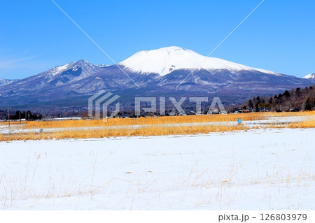 3月の冠雪の浅間山　　　信州の山々　　　信州の風景 126803979