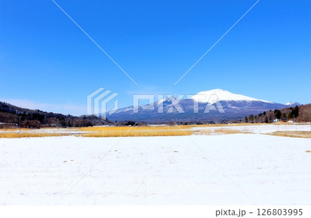 3月の冠雪の浅間山　　　信州の山々　　　信州の風景 126803995