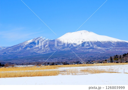 3月の冠雪の浅間山　　　信州の山々　　　信州の風景 126803999