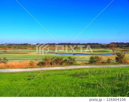 土手の上から見る冬の江戸川河川敷のゴルフ場風景 126804106