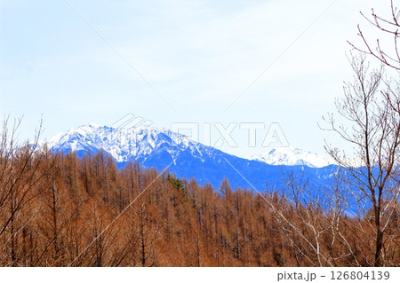 戸倉山からの中央アルプスと南アルプス 信州の山々 信州の風景 戸倉山からの中央アルプスと南アルプス 信州の山々 信州の風景 126804139