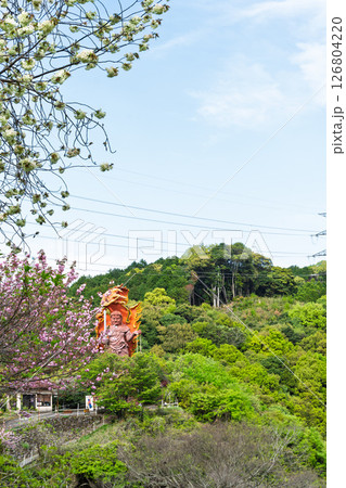 うららかな春日和に映える大不動明王像 「不動尊一心寺の桜(大分県)」 うららかな春日和に映える大不動明王像 「不動尊一心寺の桜(大分県)」 126804220