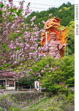 うららかな春日和に映える大不動明王像　「不動尊一心寺の桜(大分県)」 126804221