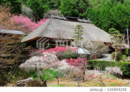 旧木下家住宅　　　駒ヶ根市　　　信州の風景 126804288